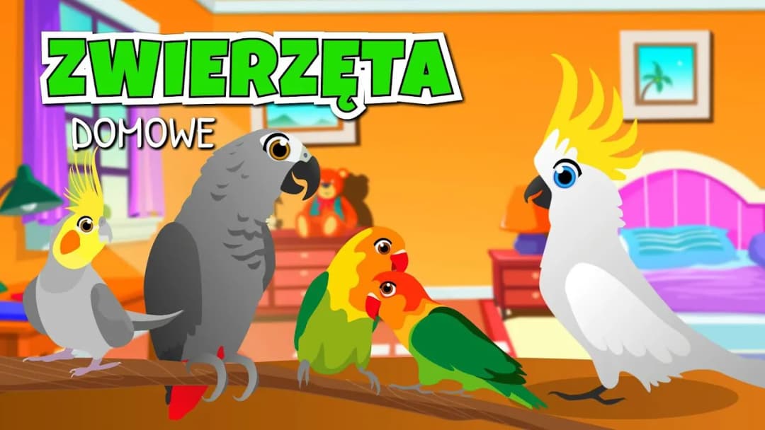 Najlepsze filmy o zwierzętach dla dzieci na YouTube, które uczą i bawią